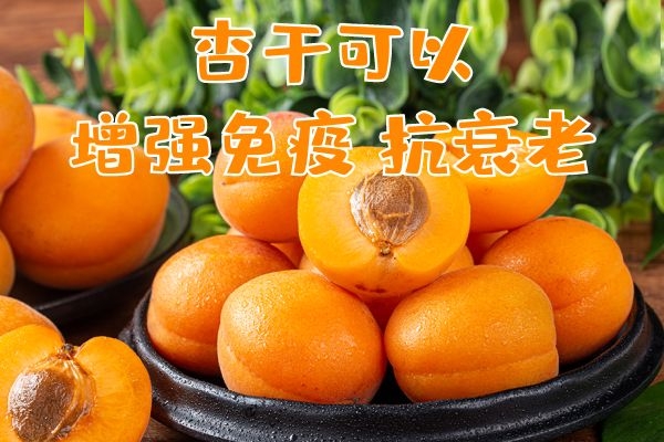 增强免疫抗衰老 增强免疫抗衰老