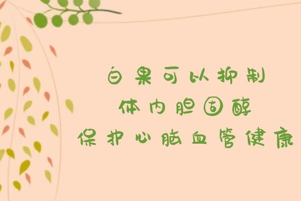 保护心脏