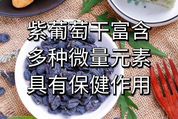 紫葡萄干