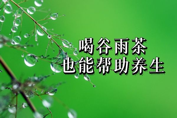 谷雨茶