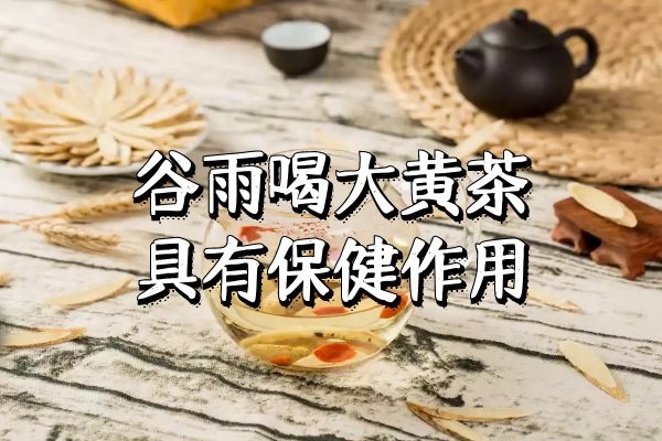 大黄茶
