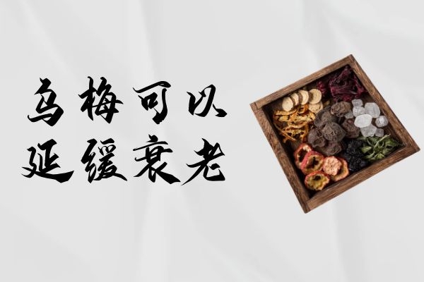延缓衰老