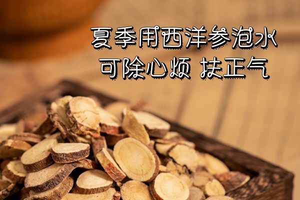 西洋参