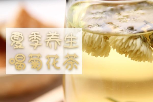 菊花茶