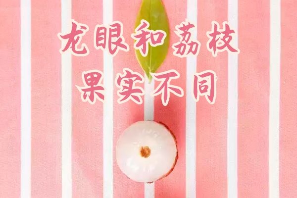 果实不同