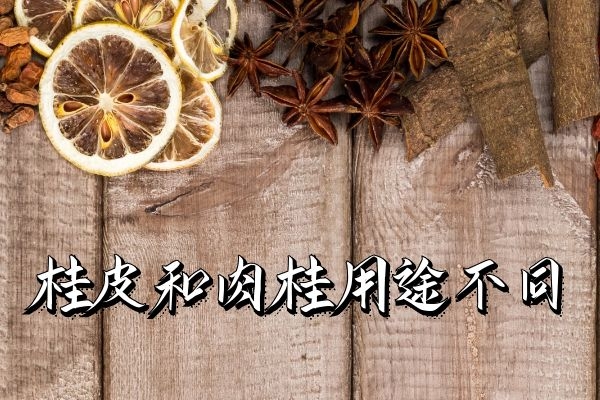 用途不同