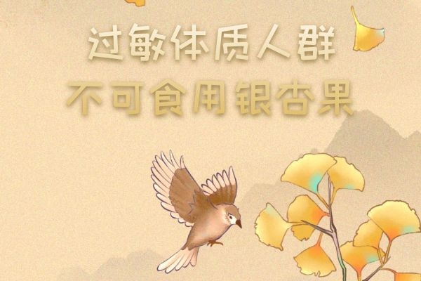 过敏体质人群