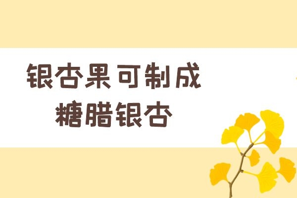 糖腊银杏