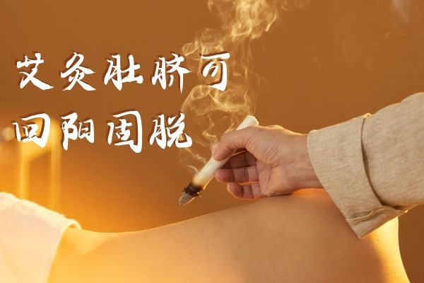 回阳固脱