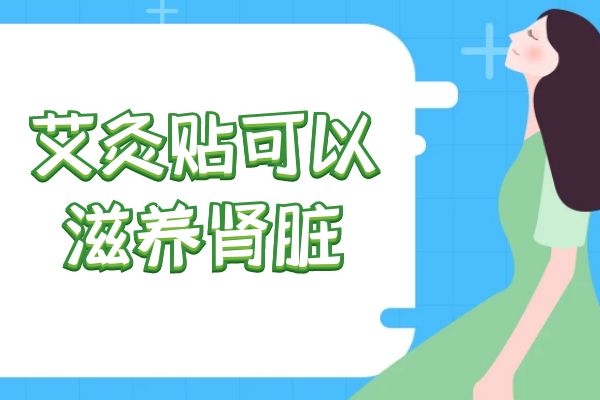 滋养肾脏