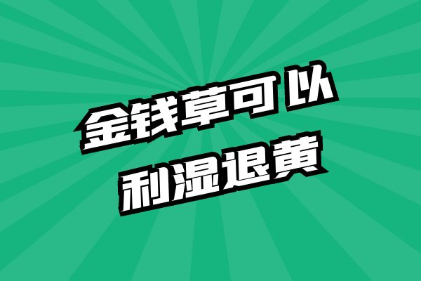 利湿退黄