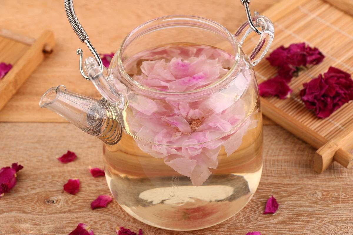  月季花茶的功效与作用及禁忌人群