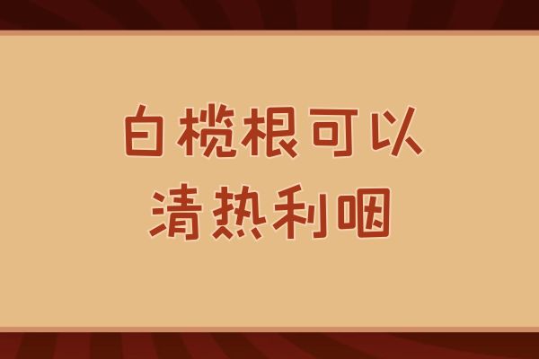  白榄根的功效与作用及禁忌有哪些？