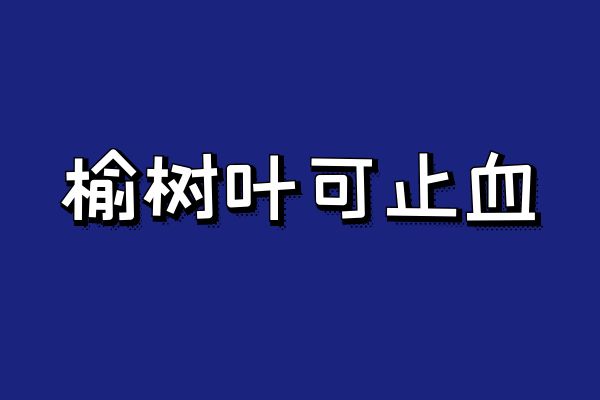  关于榆树叶的功效和作用具体有哪些，一起来看看吧！
