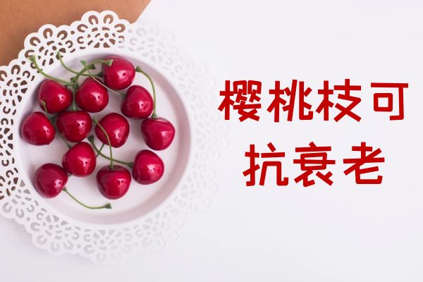 抗衰老