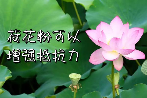 增强抵抗力
