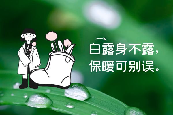  白露养生注意事项
