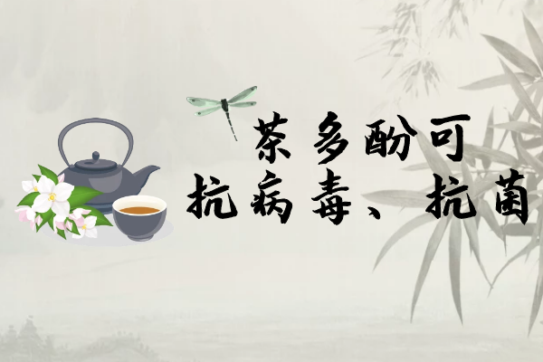 抗病毒、抗菌