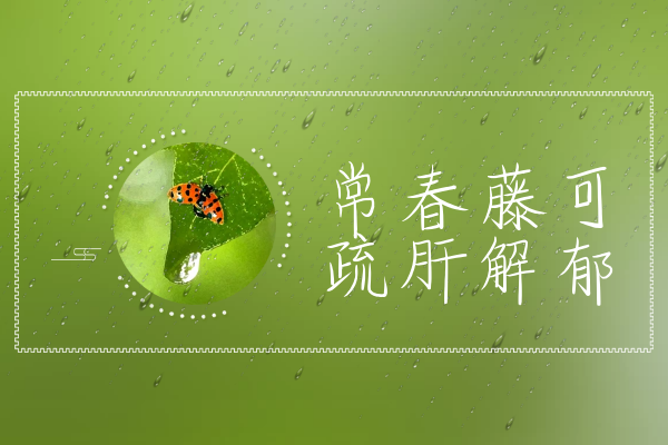 疏肝解郁