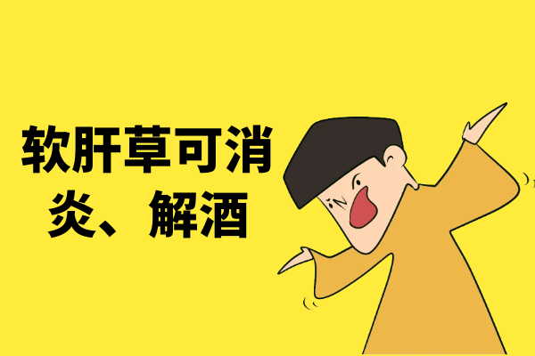 消炎、解酒