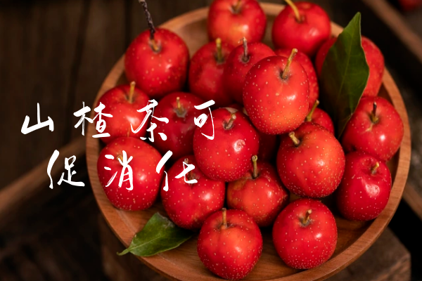 促消化