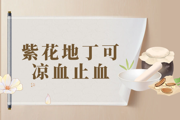 凉血止血