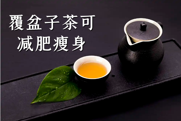 减肥瘦身