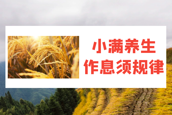 作息须规律