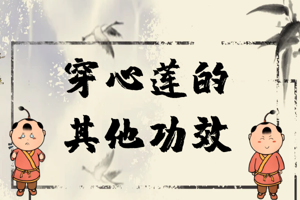 其他