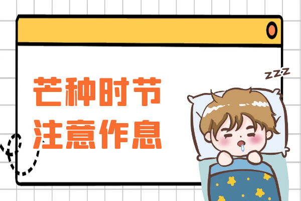 规律作息