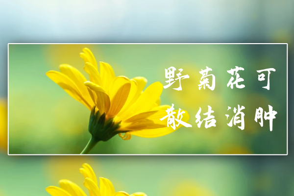 散结消肿