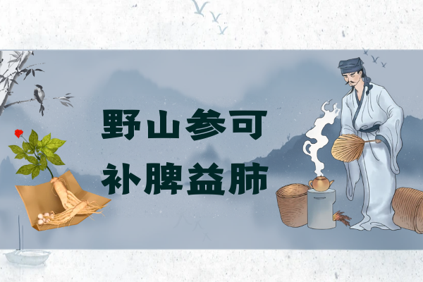 补脾益肺