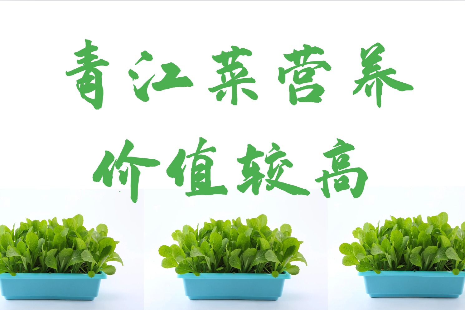 营养价值
