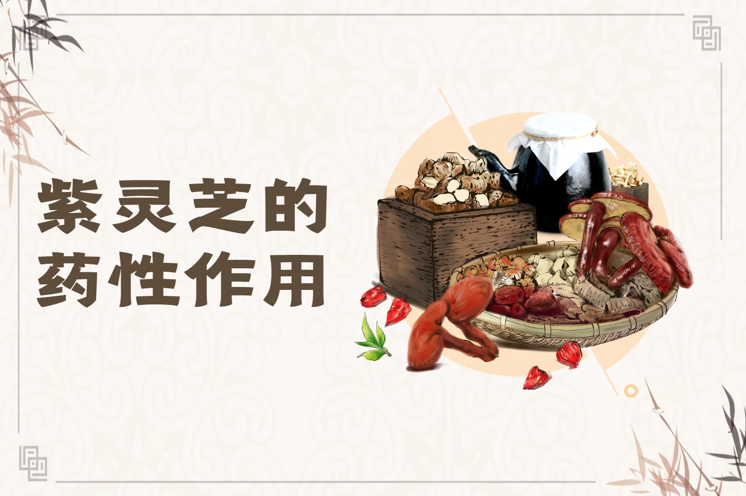 药性左右