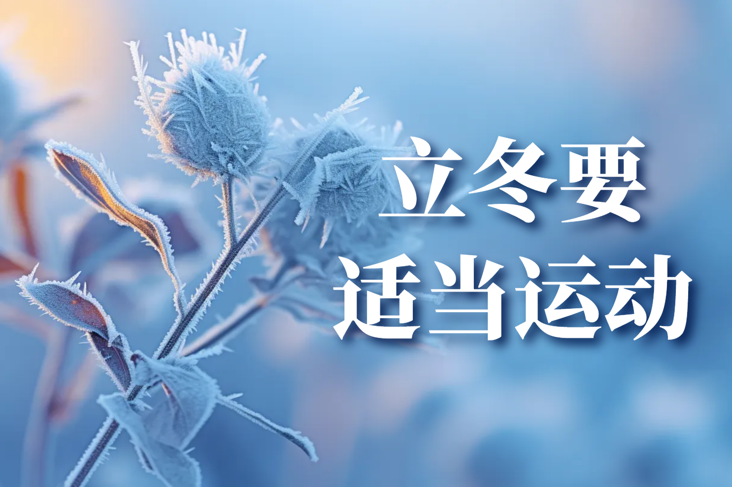 适当运动