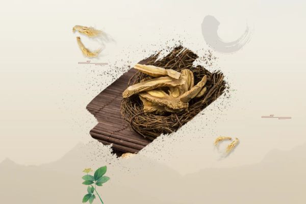 中医药调理