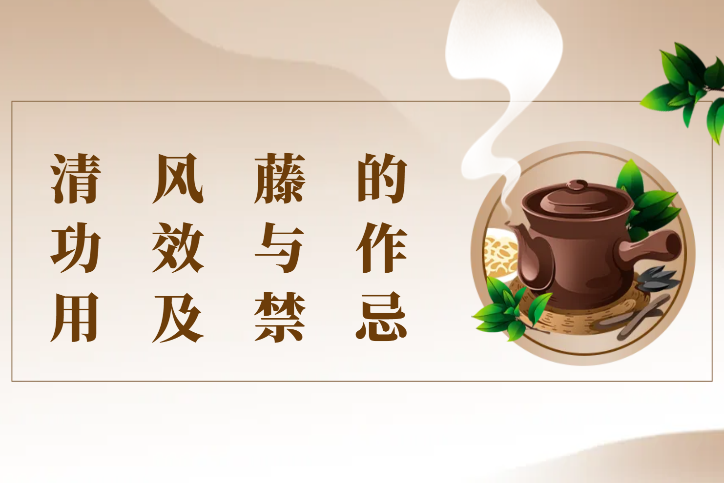 清风藤