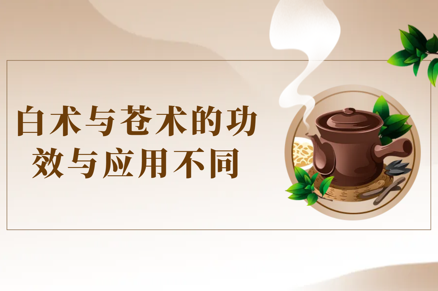 功效与应用
