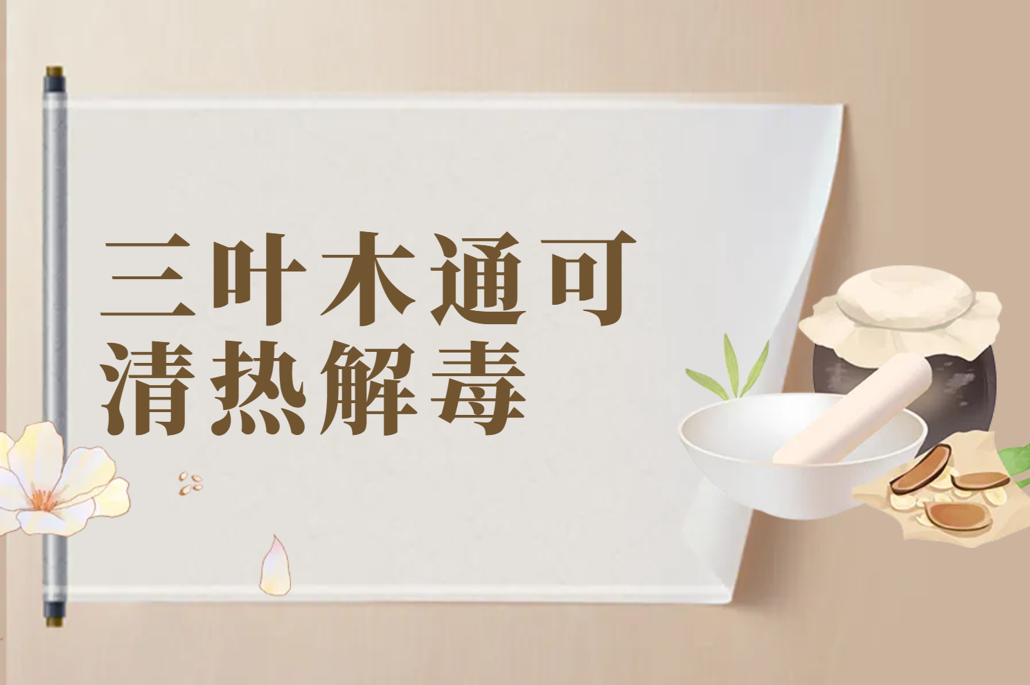 清热解毒