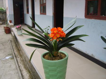 适时出室 适时出室