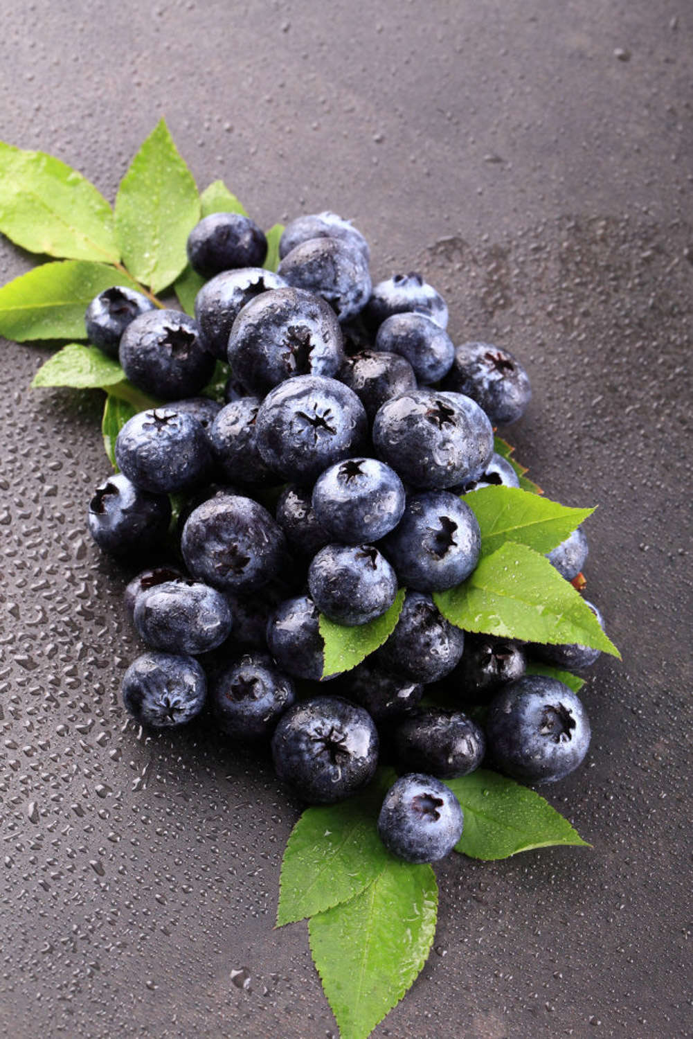 蓝莓种子怎么种