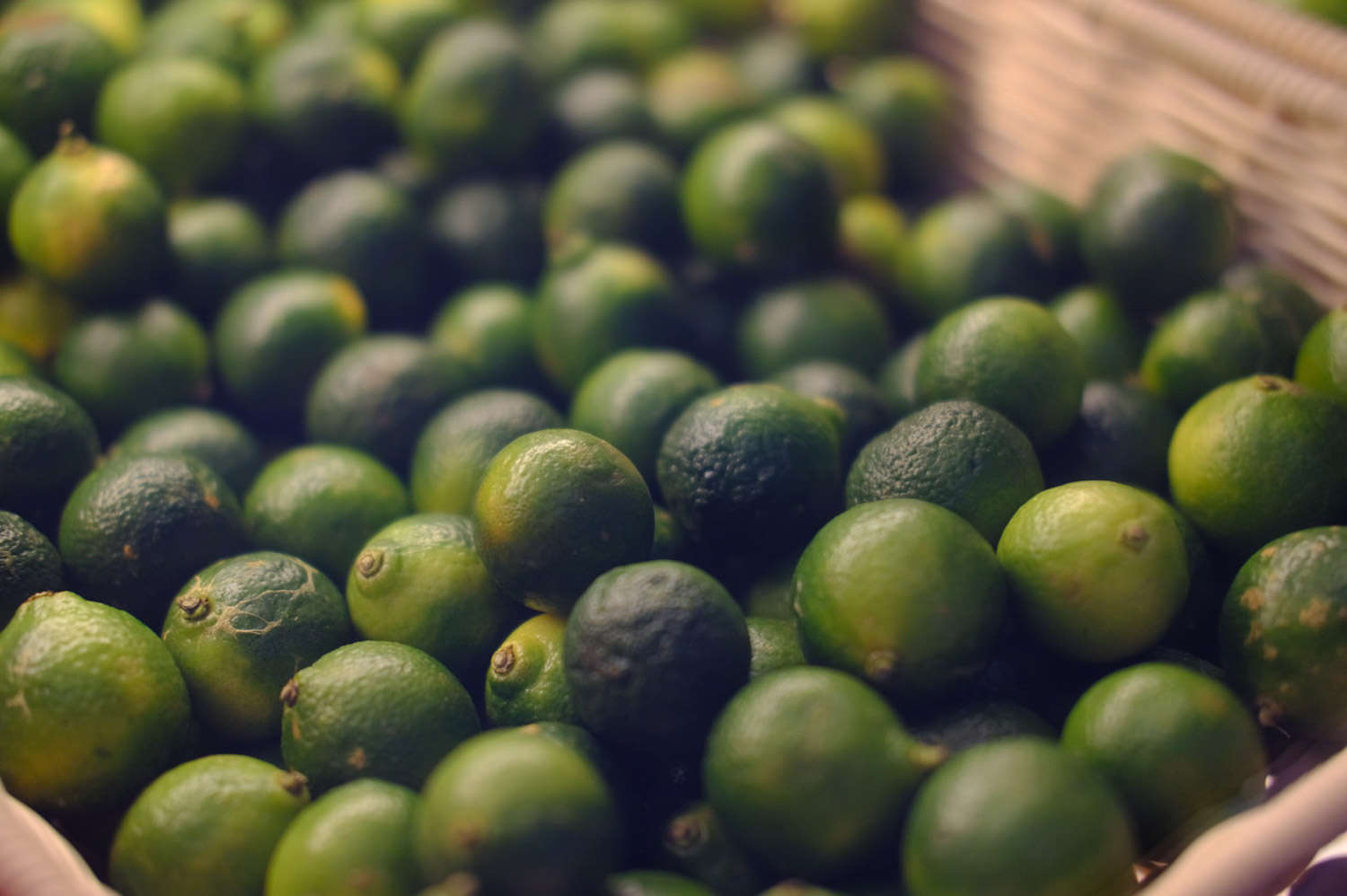 柠檬花怎么养护