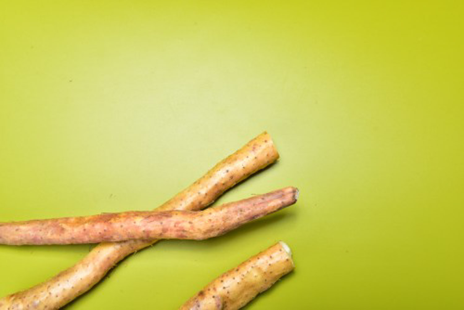 山药什么季节有