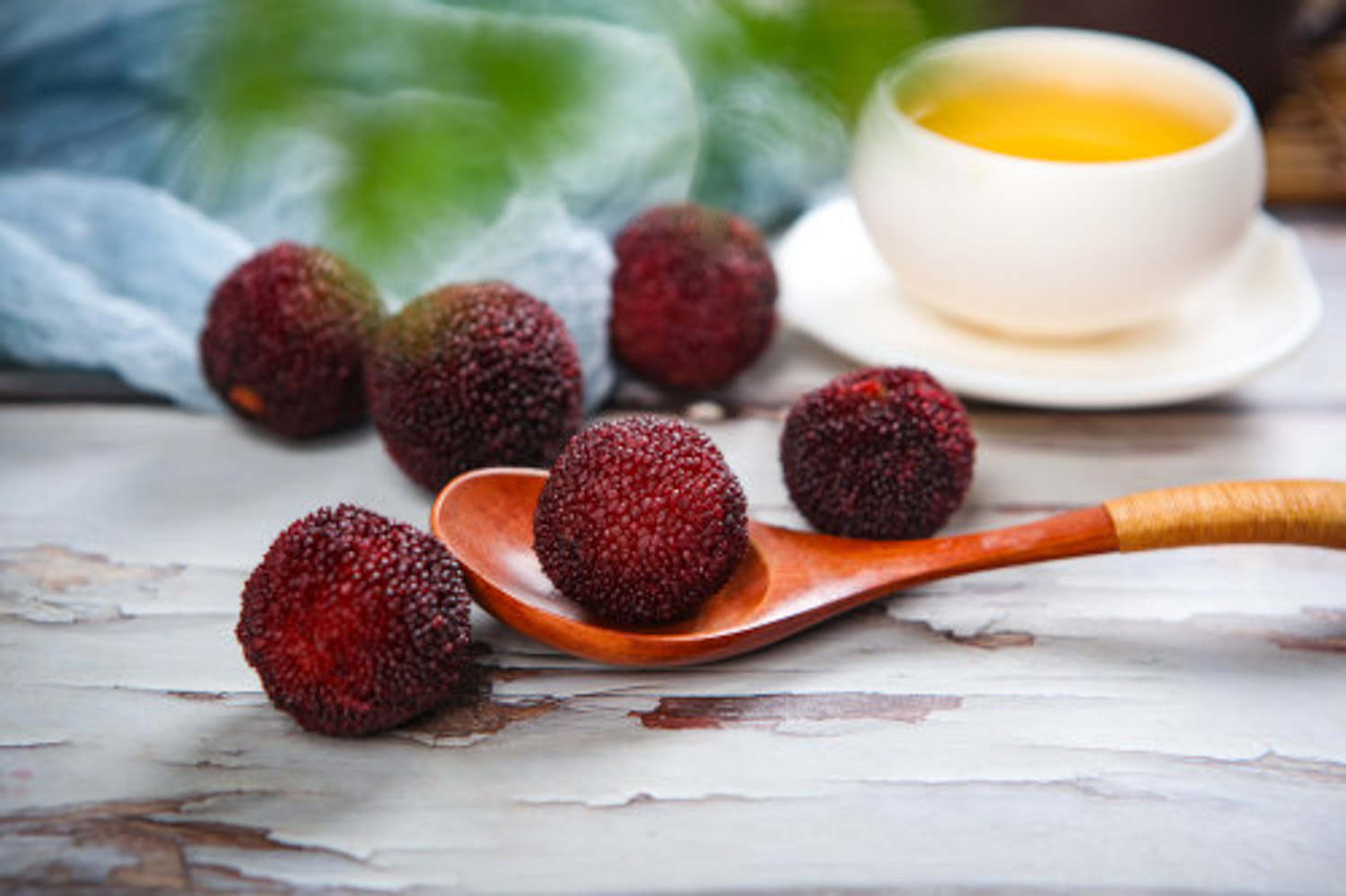 杨梅树怎么栽，需要什么土壤