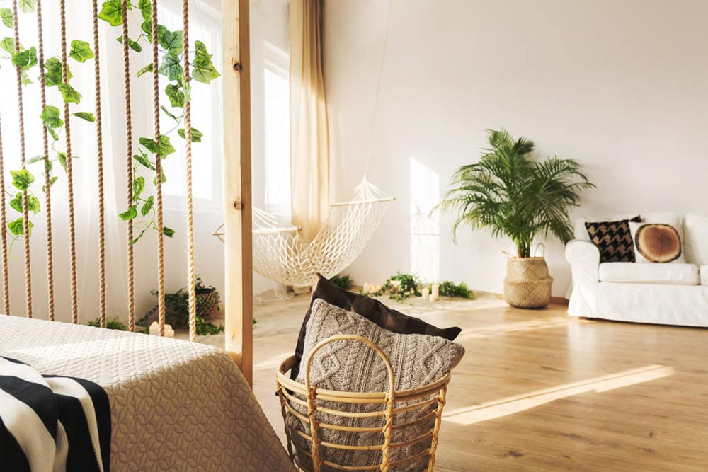 姬胧月老桩成长记