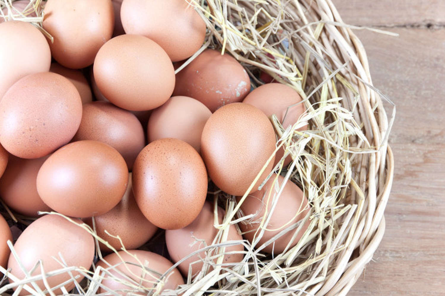 鸡蛋壳养花还能这样用！实用又好玩！咋不早告诉我！