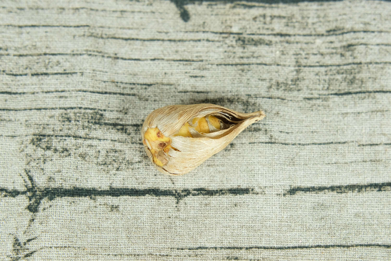 香雪兰开花后怎么处理