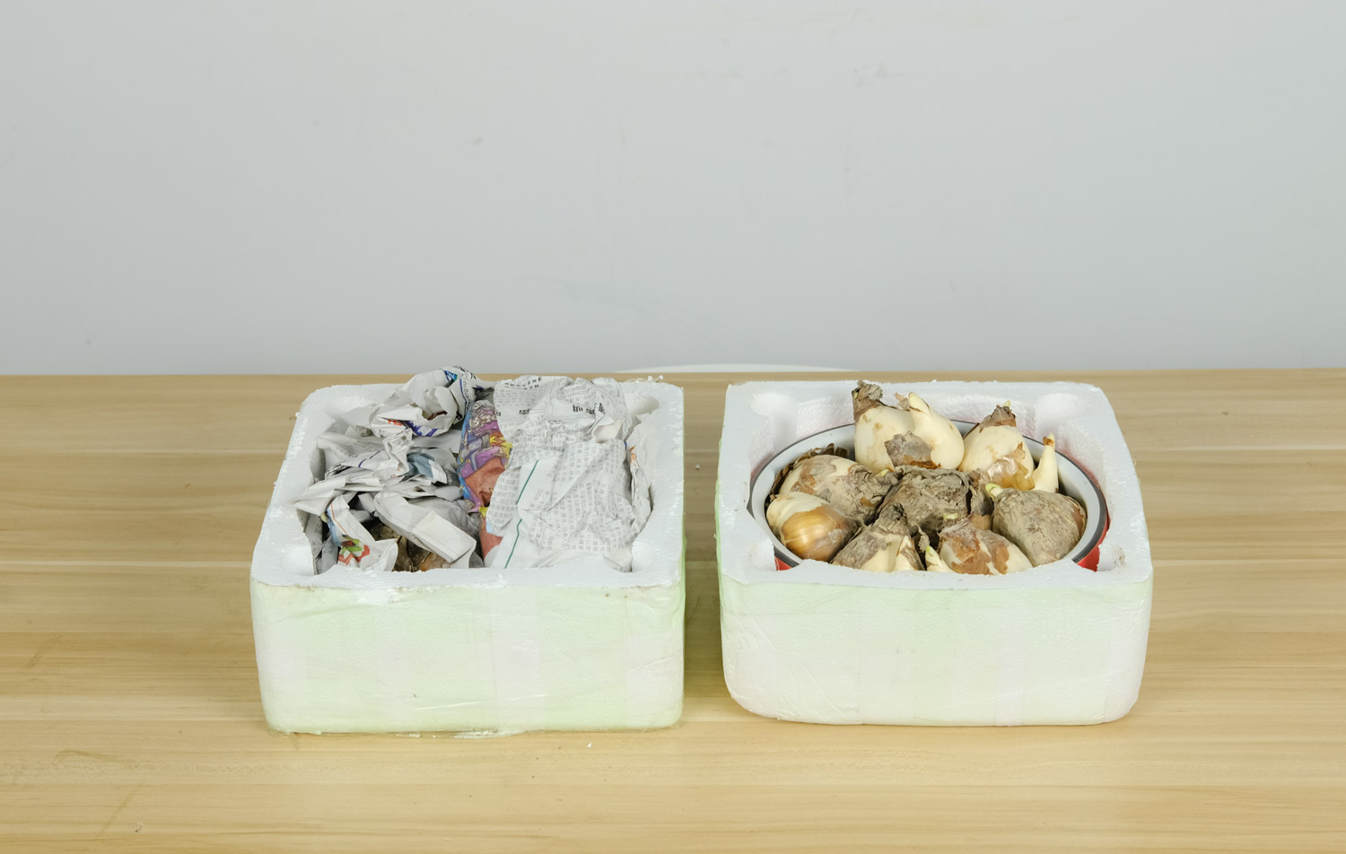 水仙花秋天怎么养