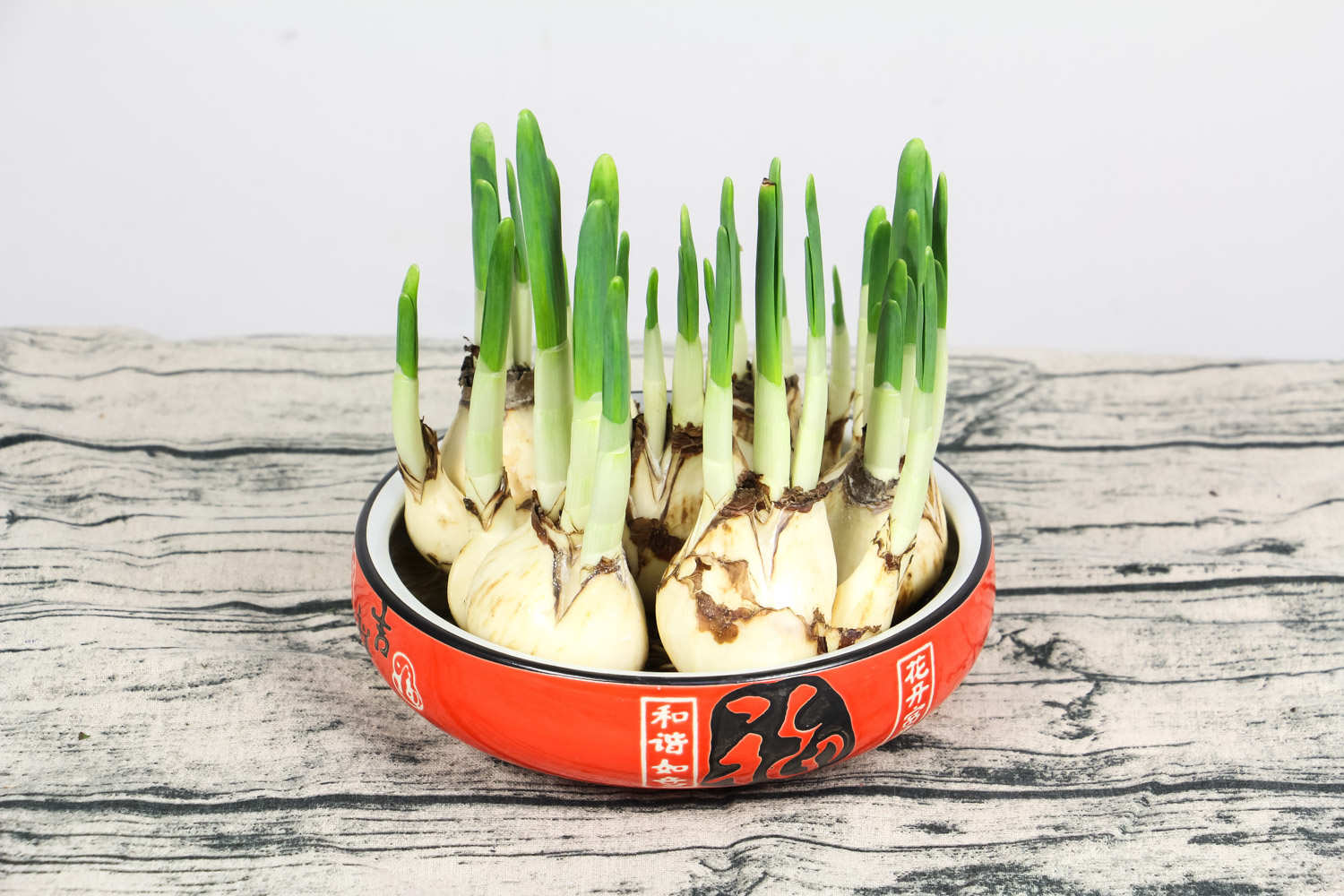 水仙花施肥方法